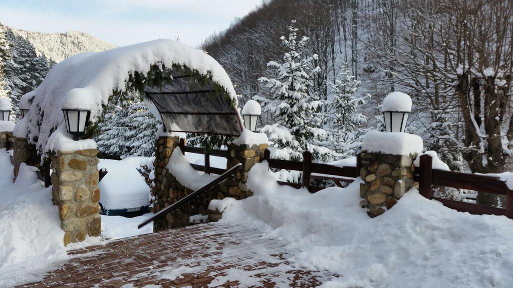 Pension Curmatura Stezii Răşinari المظهر الخارجي الصورة