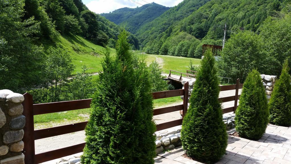 Pension Curmatura Stezii Răşinari المظهر الخارجي الصورة